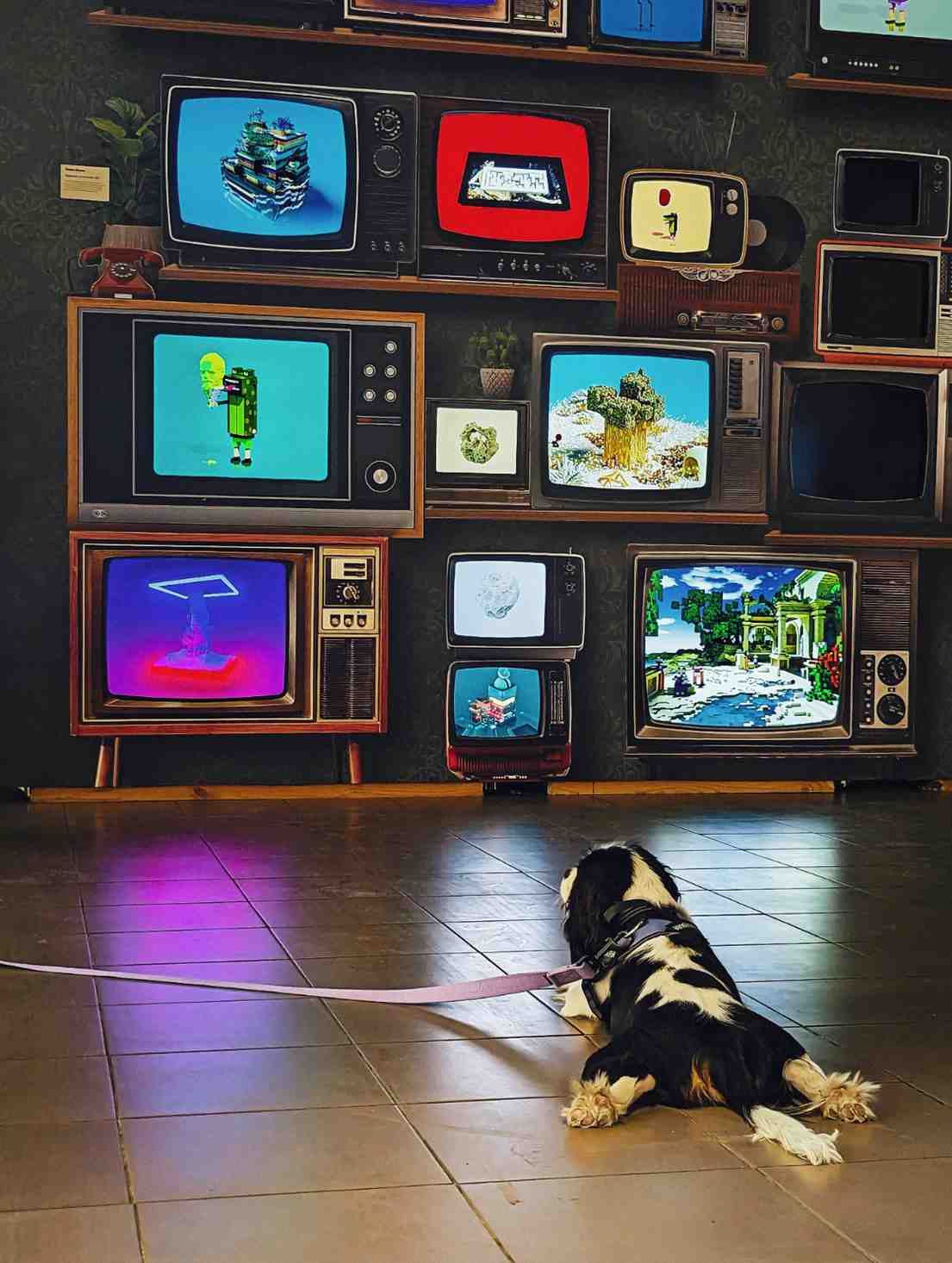 Best IPTV Apps for Android in 2025